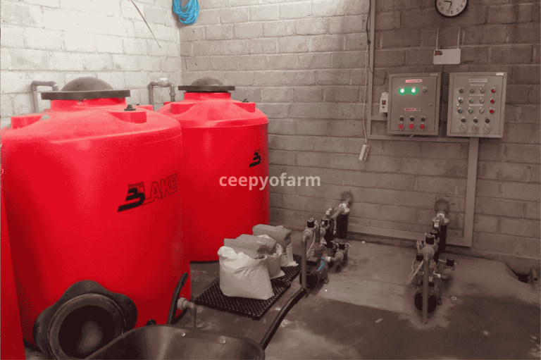 Portofolio ceepyo 2
