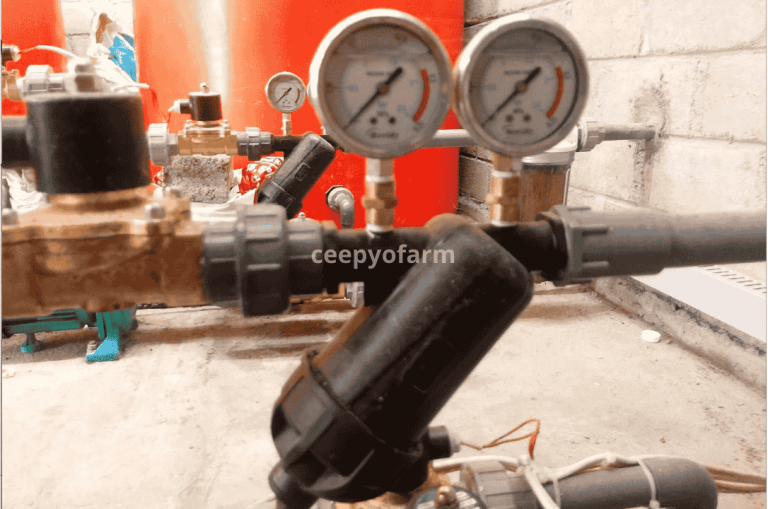 Portofolio ceepyo 3