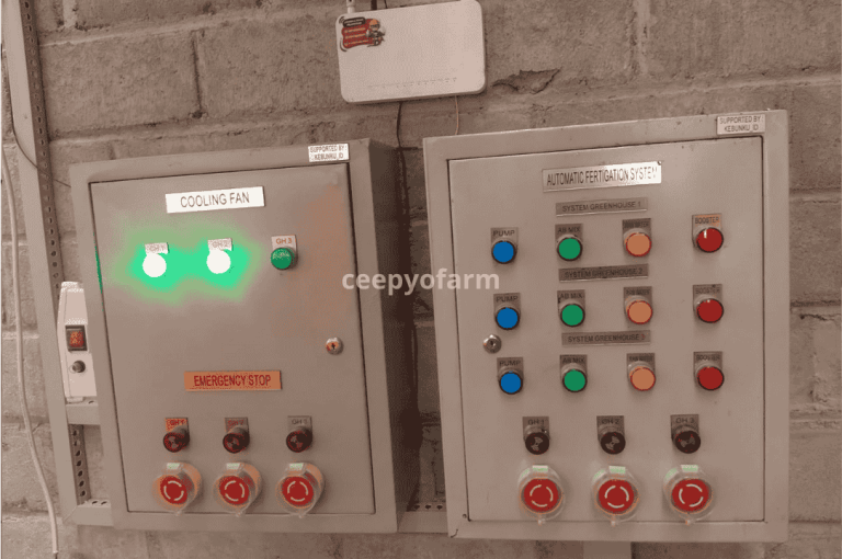 Portofolio ceepyo 4