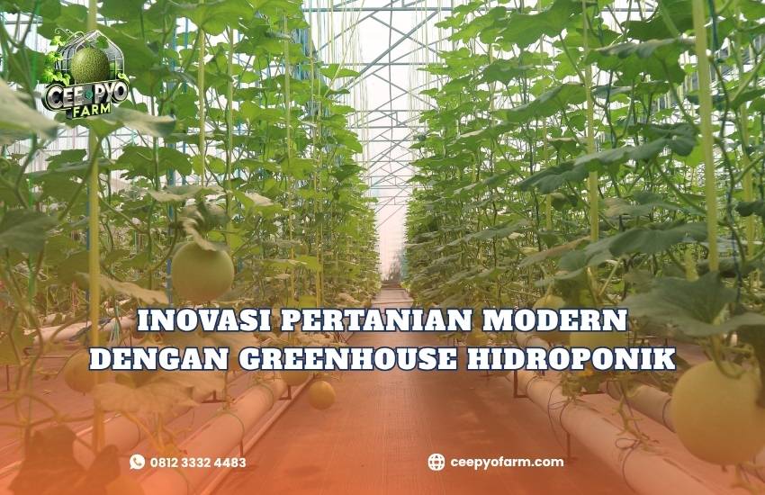 Inovasi Pertanian Modern dengan Greenhouse Hidroponik