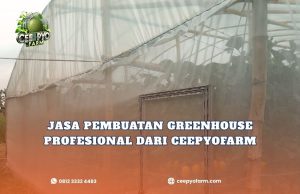Jasa Pembuatan Greenhouse Profesional dari CeePyoFarm