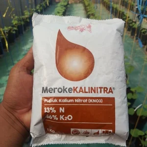 Pupuk Meroke Kalinitra 1 Kg – Pupuk Kalium Nitrat untuk Pembesar dan Pemanis Buah Hidroponik