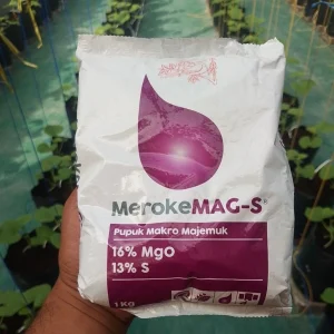 Pupuk Meroke MAG-S 1 Kg – Pupuk Magnesium Sulfat untuk Tanaman Hortikultura & Hidroponik