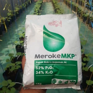 Pupuk Meroke MKP 1 Kg – Pupuk Perangsang Bunga dan Buah Hidroponik