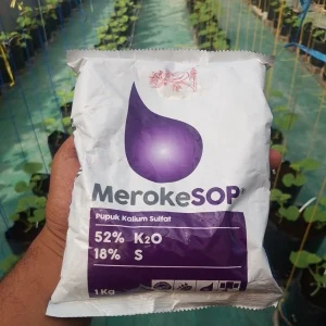 Pupuk Meroke SOP 1 Kg – Pupuk Kalium Sulfat Larut Air