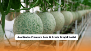 Jual Melon Premium Ecer & Grosir Grogol Kediri