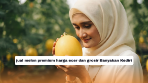 jual melon premium harga ecer dan grosir Banyakan Kediri